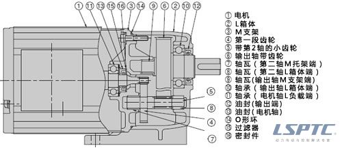 GMTA構(gòu)造