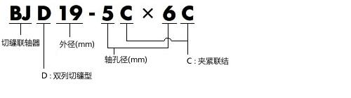 BJD型號表示舉例