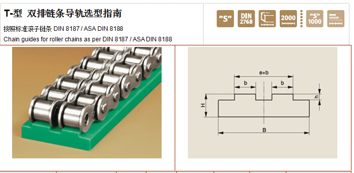 Murtfeldt鏈條導(dǎo)軌T型雙排