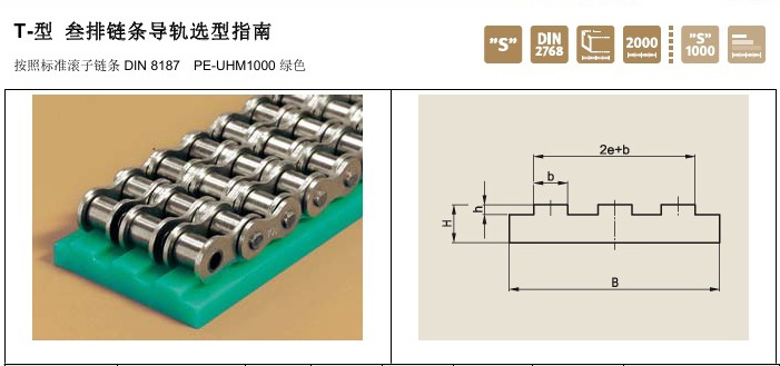 Murtfeldt鏈條導(dǎo)軌T型叁排